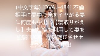 (中文字幕) [DVAJ-484] 不倫相手に夢中で俺をイヤがる妻に何度も中出し【寝取りがえし】夫の特権を利用して妻を強襲FUCK、浮気詫びさせセックス、拘束中出