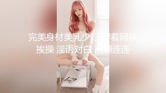 国产麻豆AV MD MD0039 女优面试员 叶一涵