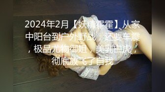 【新片速遞】2024年10月， 换妻界顶流，【爱玩夫妻】，塞上遥控跳蛋，到了KTV房间，先享受午餐，被震动受不了，怕有人偷看[926M/MP4/15:02]