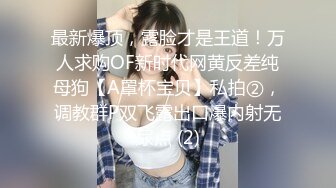 后入女友，叫的淫荡高潮