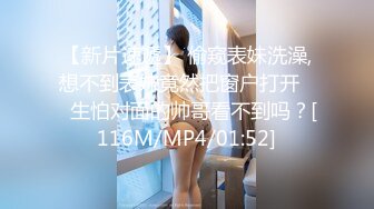 麻豆傳媒 MCY0187 空姐的VIP私活 吳文淇