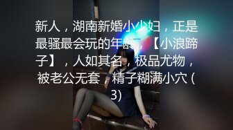 新人，湖南新婚小少妇，正是最骚最会玩的年龄，【小浪蹄子】，人如其名，极品尤物，被老公无套，精子糊满小穴 (3)