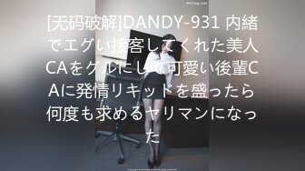 [无码破解]DANDY-931 内緒でエグい接客してくれた美人CAをグルにして可愛い後輩CAに発情リキッドを盛ったら何度も求めるヤリマンになった