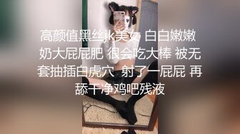 极品音乐才女高颜气质女神Lyain极度反差露脸跟男伴白天搞艺术晚上搞黄色