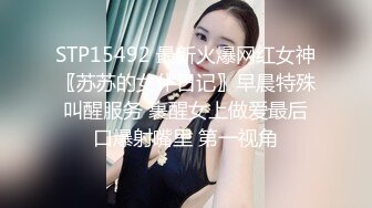 高挑绝色美女穿着东方特色的旗袍魅力倍增前凸后挺