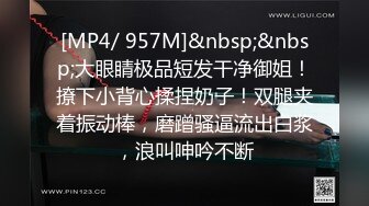 PH-135色控 过年不寂寞！新年福袋抽到拜年机器人的新年服务