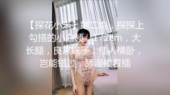 高铁-紫色连衣裙妹子拉完shi又来撒niao