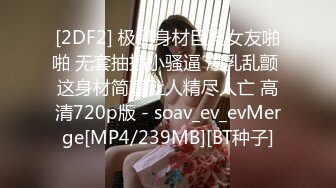 [MP4/364MB]糖心Vlog 合租室友其實意外地很色情 棒棒糖