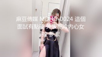 麻豆傳媒 MDHG-0024 這個面試有點硬 外表高冷內心女孩 夢潔