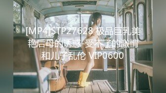 [MP4]STP27628 极品巨乳美艳后母的诱惑-受不了的激情和儿子乱伦 VIP0600