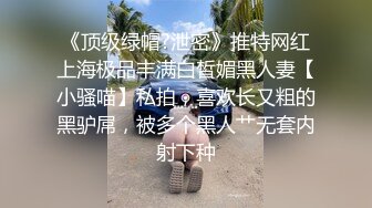 山东浩浩正装三人行无套虐操醉酒骚受