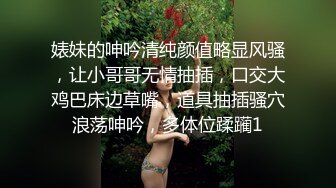 商场女厕多角度偷拍 奶茶店老板娘肥美的鲍鱼