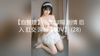 【自整理】偷窥 绿帽 剧情 后入 肛交 深喉【80V】 (28)