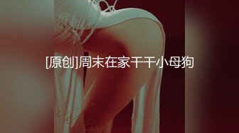 XSJ-094 波妮 奇淫三国之赵云七进七出 性视界传媒