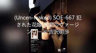 (Uncen-leaked) SOE-667 犯された花嫁 悲劇のヴァージンロード 吉沢明歩