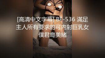 [高清中文字幕] BF-536 滿足主人所有要求的可內射巨乳女僕君島美緒