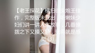 【老王探花】横扫街头炮王佳作，完整版未流出，听嫩妹少妇们讲一讲人生故事，几番撩拨之下又摸又插，玩得就是感觉 (3)