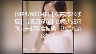 兔子先生TZ-040岛国女仆为你服务-中野惠子