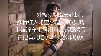 ⚫️⚫️户外极限挑战天花板，推特红人【查小理女奴-吴晗】滴滴车上露出黄瓜紫薇然后在把黄瓜吃了2K无水印原版