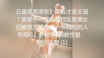 双女s女奴母狗调教