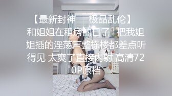 济宁骚逼肛塞后入