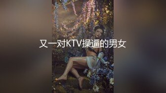 又一对KTV操逼的男女