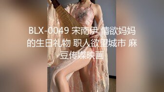 BLX-0049 宋南伊 情欲妈妈的生日礼物 职人欲望城市 麻豆传媒映画