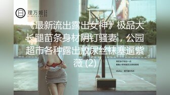 性感高挑的腿模美女被小偷威胁