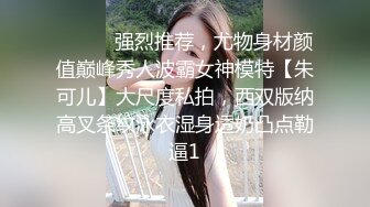 ⚫️⚫️强烈推荐，尤物身材颜值巅峰秀人波霸女神模特【朱可儿】大尺度私拍，西双版纳高叉条纹泳衣湿身透奶凸点勒逼1