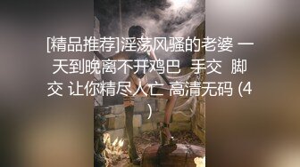 [精品推荐]淫荡风骚的老婆 一天到晚离不开鸡巴  手交  脚交 让你精尽人亡 高清无码 (4)