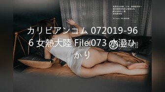 カリビアンコム 072019-966 女熱大陸 File.073 水澄ひかり