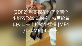 [FHD/31G]P站网红留学生 LexisCandyShop合集