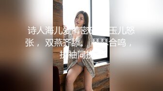 诗人海儿爱情密码： 玉儿怒张， 双燕齐舔。 琴瑟合鸣， 执袖同挽。