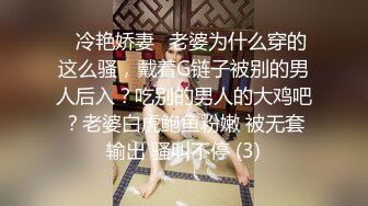 ✨冷艳娇妻✨老婆为什么穿的这么骚，戴着G链子被别的男人后入？吃别的男人的大鸡吧？老婆白虎鲍鱼粉嫩 被无套输出 骚叫不停 (3)