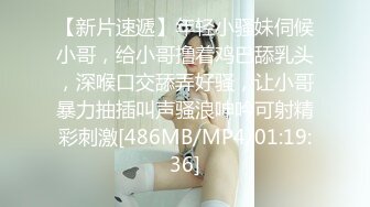 波兰爱经.the.art.of.loving.story.of.michalina.wislocka.2017.1080p.bluray.x264