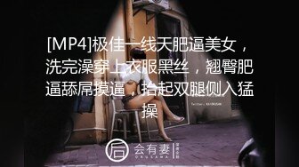 [MP4]极佳一线天肥逼美女，洗完澡穿上衣服黑丝，翘臀肥逼舔屌摸逼，抬起双腿侧入猛操