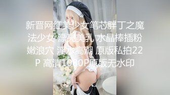 新晋网红美少女笔芯胖丁之魔法少女 漂亮美乳 水晶棒插粉嫩浪穴 淫水高潮 原版私拍22P 高清1080P原版无水印