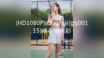 ⚫️究极反差骚婊！推特极品女神气质御姐【粉红色海豚】最新订阅，有钱人的性玩物无套啪啪捣白浆