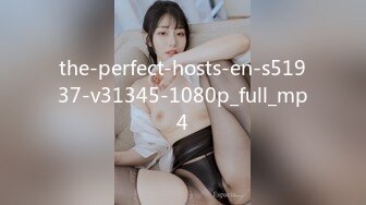 the-perfect-hosts-en-s51937-v31345-1080p_full_mp4