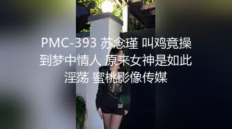 PMC-393 苏念瑾 叫鸡竟操到梦中情人 原来女神是如此淫荡 蜜桃影像传媒