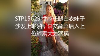 游乐场女厕全景偷拍三位美女同事的肥美大鲍鱼