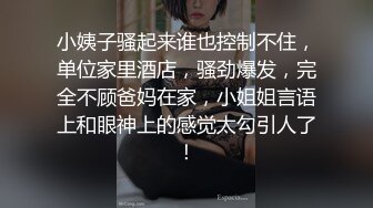 骚妻自嗨