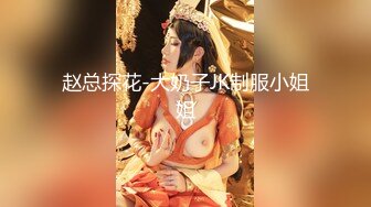 赵总探花-大奶子JK制服小姐姐