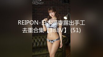 REIPON-日本淫妻露出手工去重合集【388V】 (51)