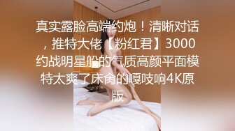 onlyfans超人气女神娜娜nana_taipei-吊带黑丝-房产经纪人的情趣内衣