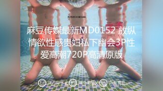 麻豆传媒最新MD0152 放纵情欲性感贵妇私下幽会3P性爱高潮720P高清原版