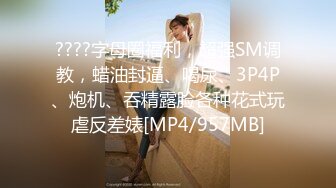 【MSM-001】性爱绝对修罗场 老婆与偷腥猫的双人争宠#琪琪 兮兮