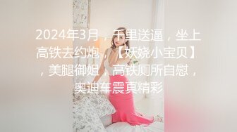 2024年3月，千里送逼，坐上高铁去约炮，【妖娆小宝贝】，美腿御姐，高铁厕所自慰，奥迪车震真精彩