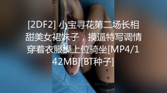 [2DF2] 小宝寻花第二场长相甜美女裙妹子，摸逼特写调情穿着衣服操上位骑坐[MP4/142MB][BT种子]