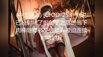 [2DF2]寂寞少妇网购情趣用品收货时被快递员强干1080p [MP4/125MB][BT种子]